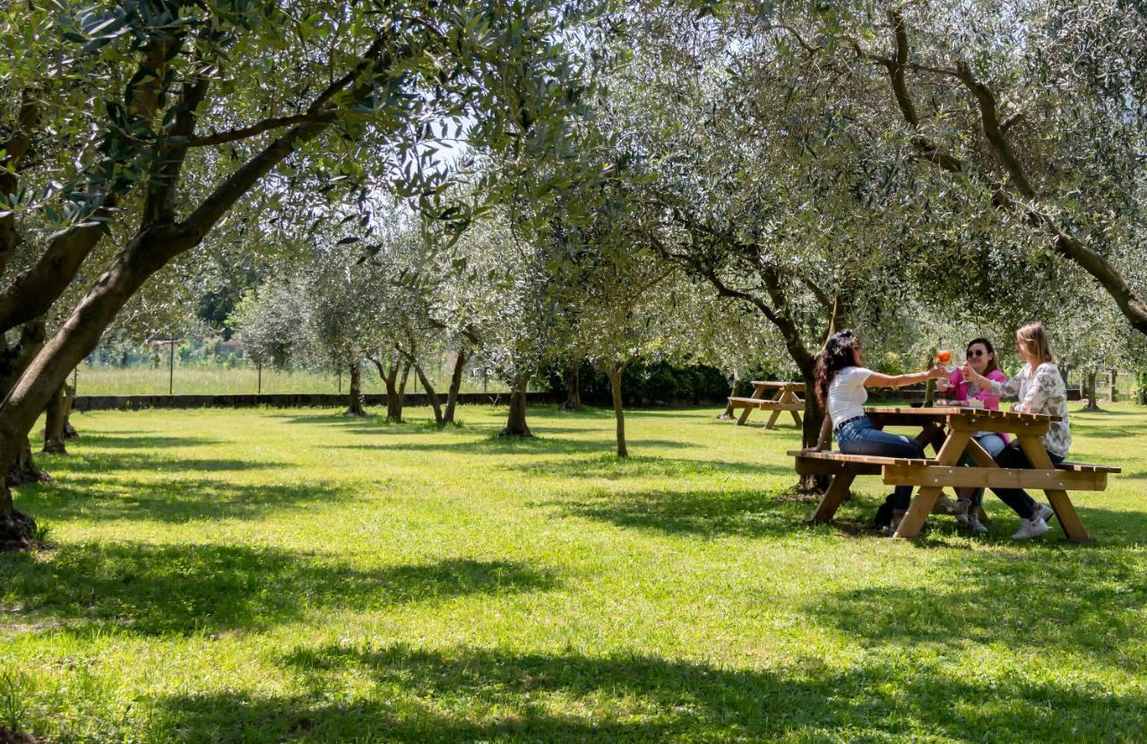 Agriturismo Ca Del Lago Граведона Екстериор снимка