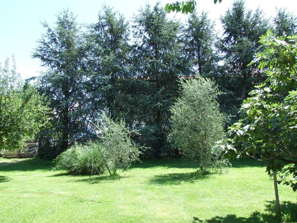 Agriturismo Ca Del Lago Граведона Екстериор снимка