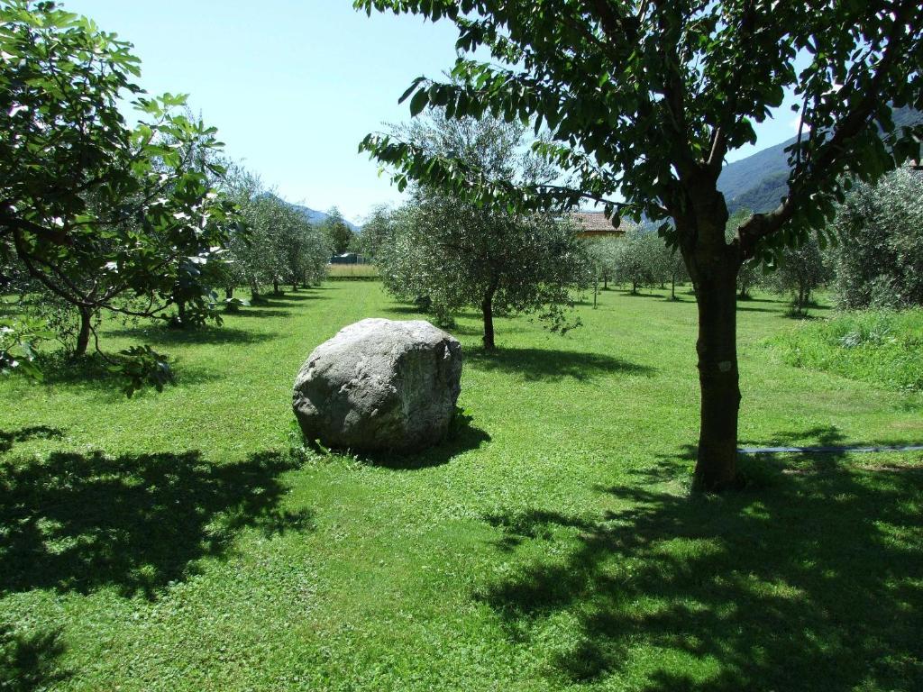 Agriturismo Ca Del Lago Граведона Екстериор снимка